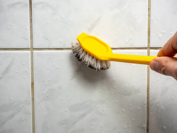 Best Local Mold Removal Service  in Coolidge, AZ
