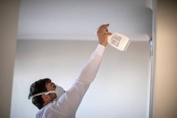 Best Mold Removal Process  in Coolidge, AZ
