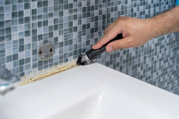 Best Attic Mold Removal  in Coolidge, AZ