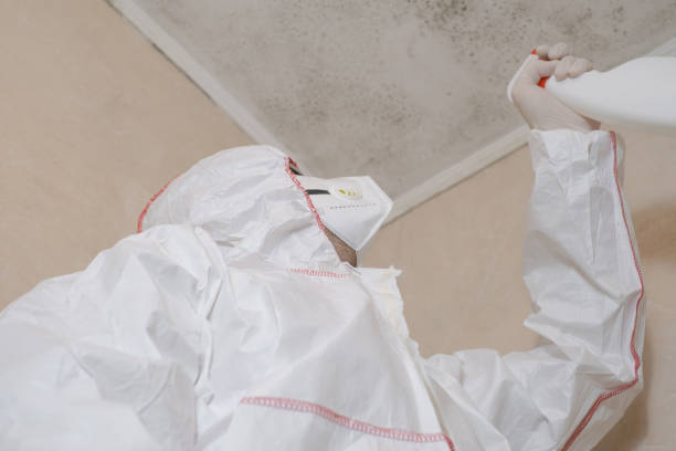 Coolidge, AZ Mold Removal Company
